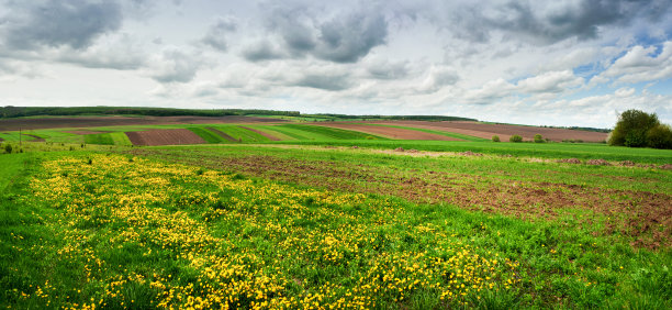 农业背景图片