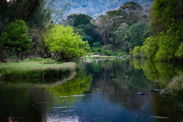 公园湖泊美景