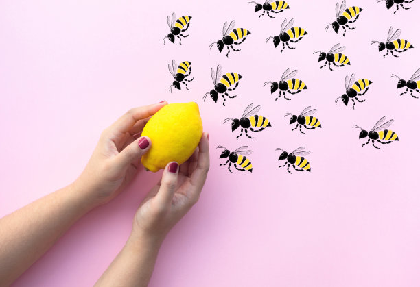 柠檬蜜蜂