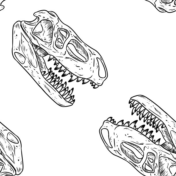 恐龙化石 恐龙图案