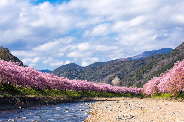 旅游景点自然景观山丘