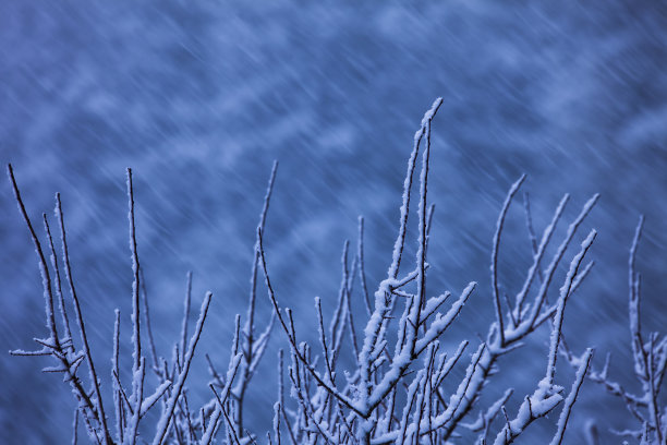 冬天冬季冰雪圣诞旅游立冬至