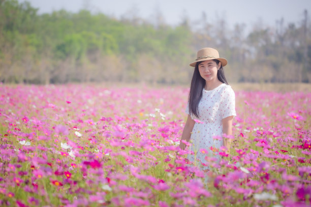 姹紫嫣红 花花草草 户外 写真