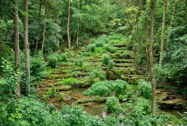 水井泉水