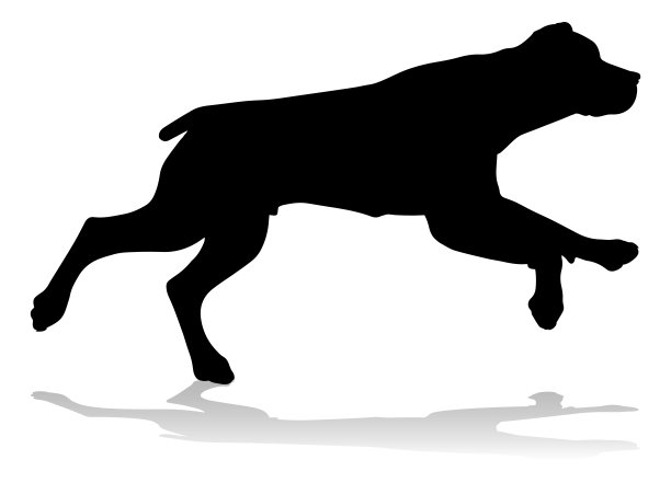 动物猫狗logo标志