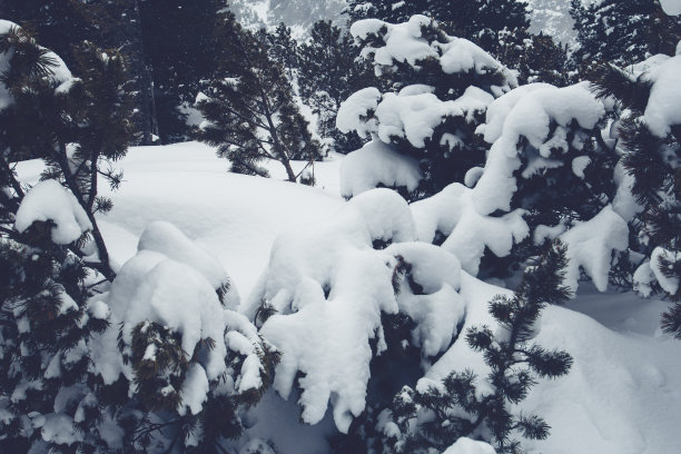 大雪时节