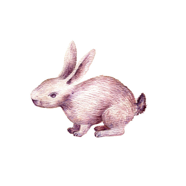 可爱小兔子卡通兔