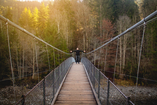 森林吊桥树林吊桥