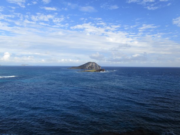 乘风破浪追梦