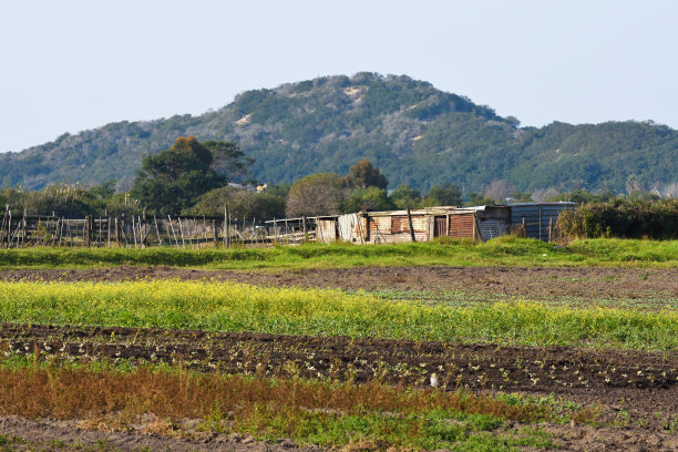 绿色小屋子