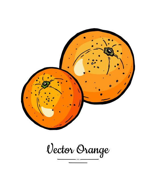 水果柚子橘子