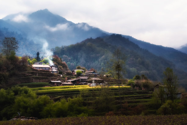 美丽乡村景观