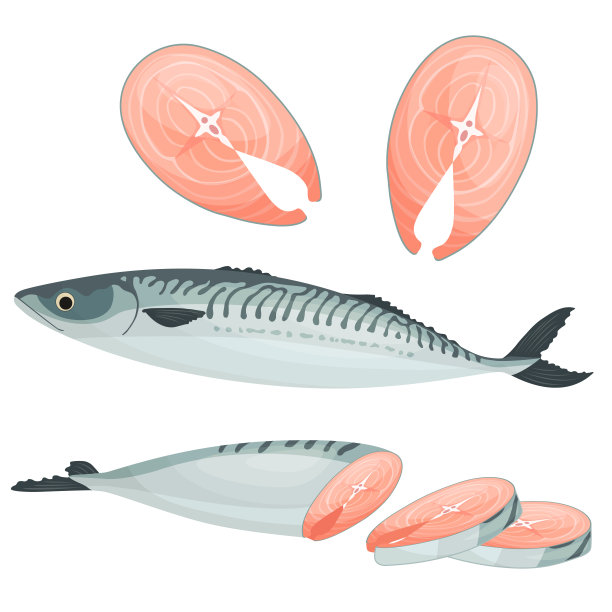 鱼 水产品 矢量图