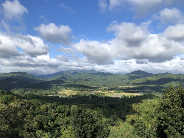 绿色生态观光旅游