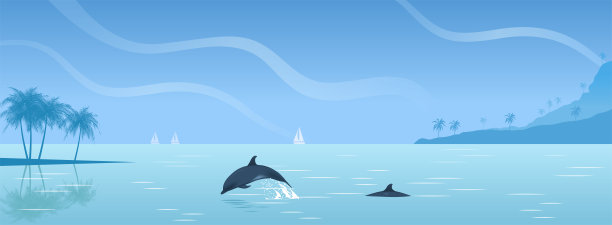 插画海豚