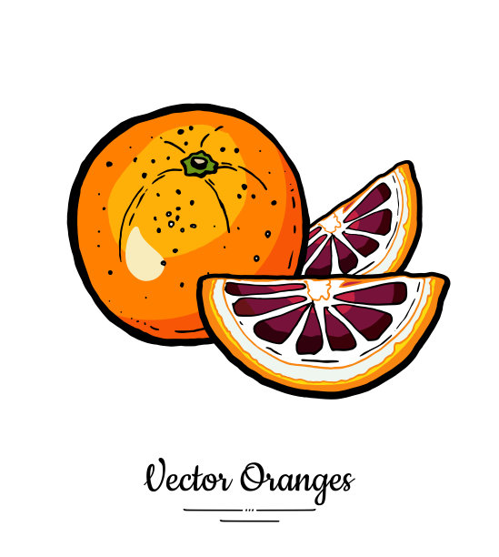 脐橙logo