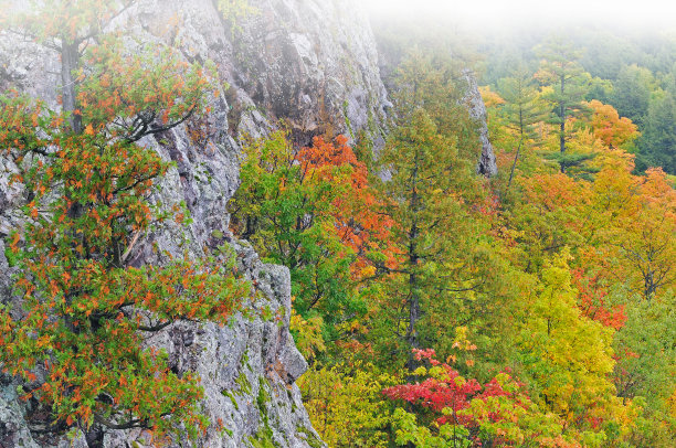 云雾缭绕高山峭壁秋色风景