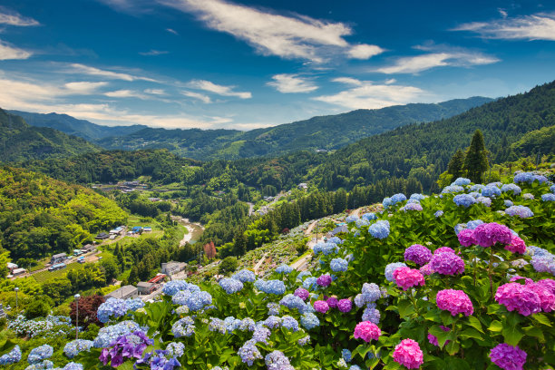 山峦植被