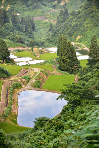 生态文化与生态文明