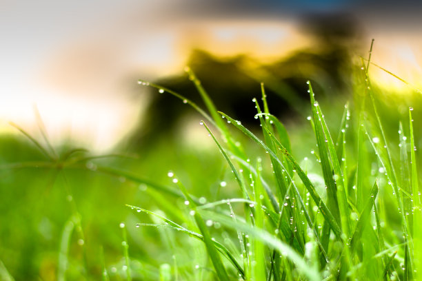 雨水海报