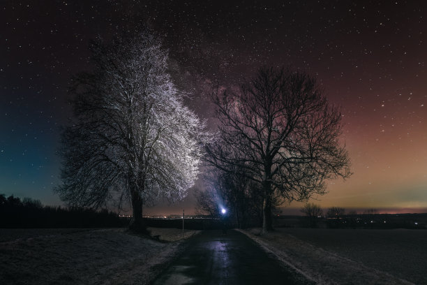 梦幻雪景