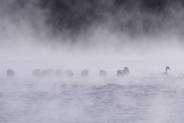 梦幻雪景