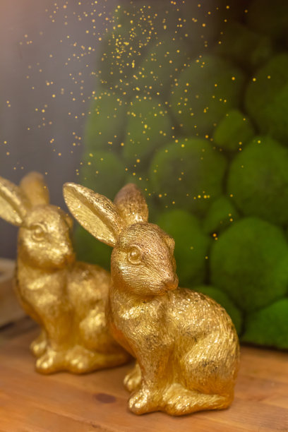 金色兔子