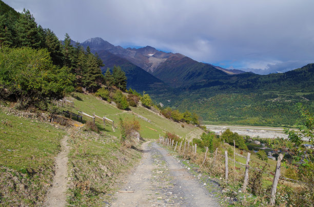 阳光森林小路,高清全景