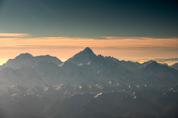 高山脐橙