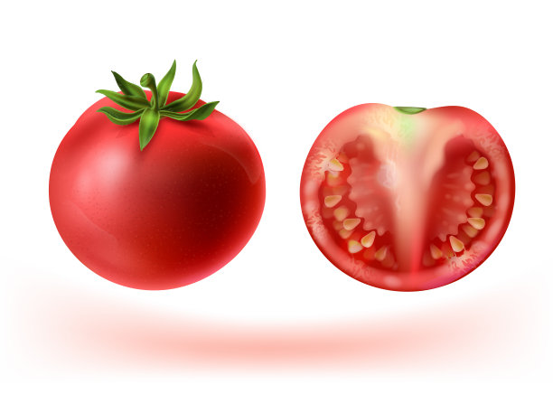 番茄酱标签