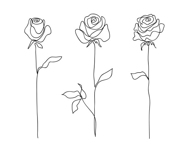 玫瑰纹身图案