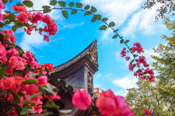 红墙树枝天空