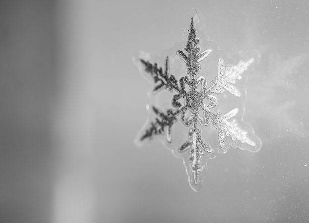 雪花形状