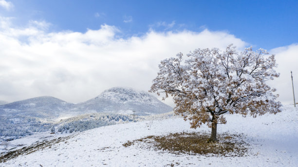 冰雪飞扬