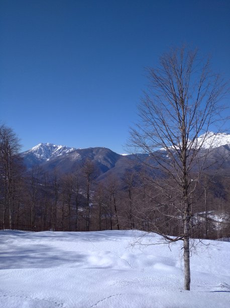 早冬湖边霜冻的美景