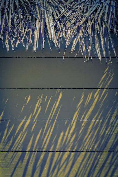 屋顶上的稻草