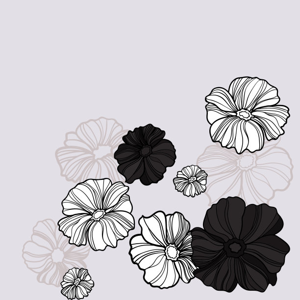 线描菊花