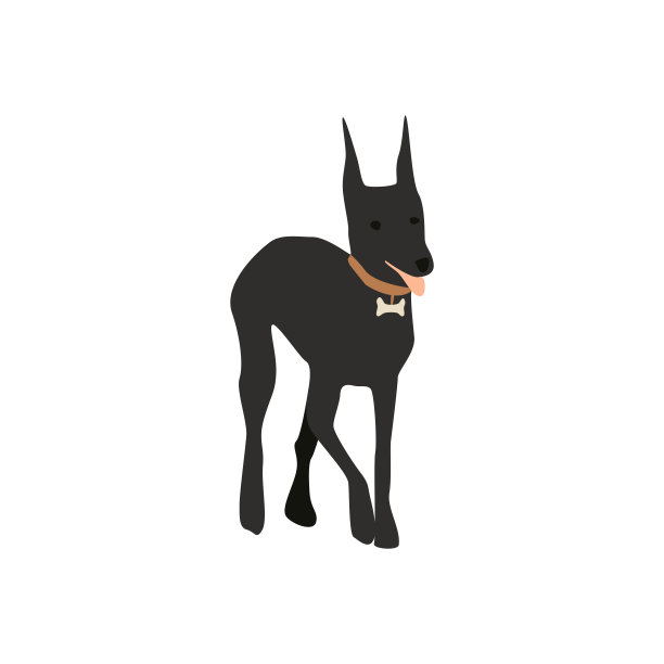 黑色杜宾犬