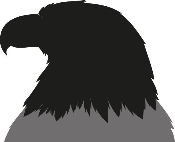简洁鹰logo