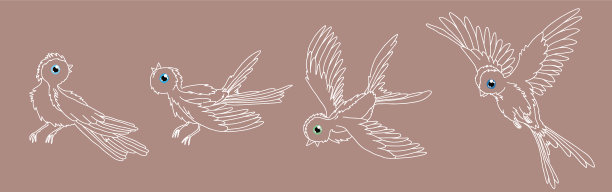 鸟的矢量设计图
