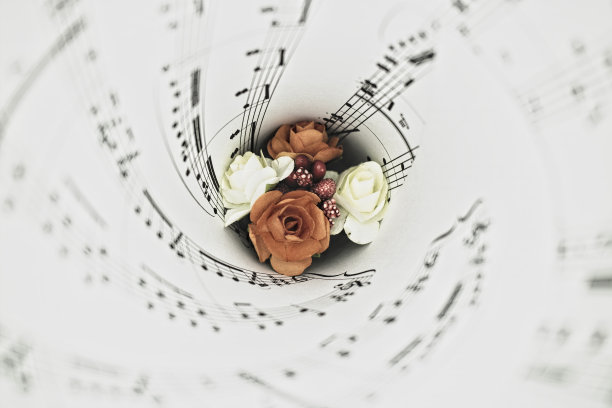 音乐与鲜花