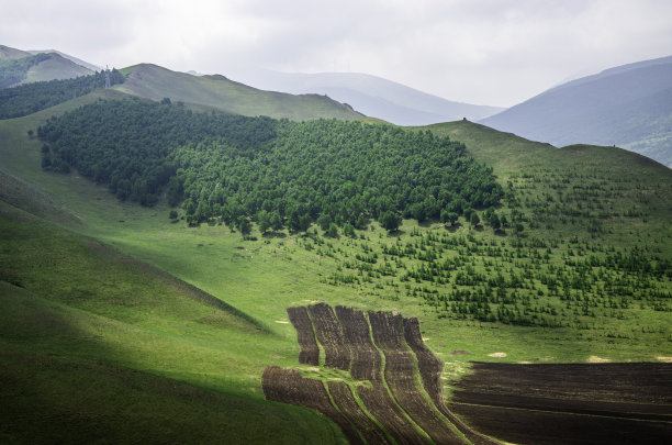 草原风景