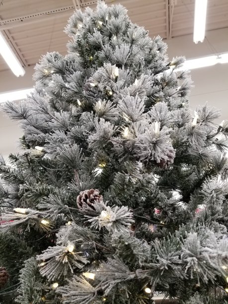 圣诞树,商场