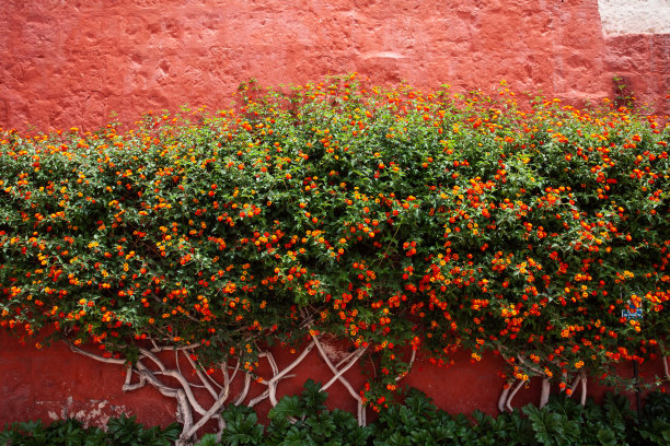 橙色,西班牙文化,回廊
