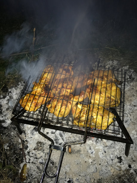 烤肉烧烤bbq野餐牛排美食餐饮