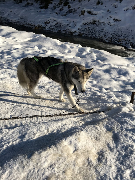 下雪后的操场