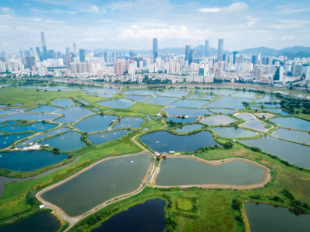 广东农村