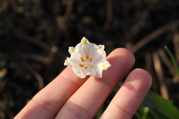 万圣节钜惠