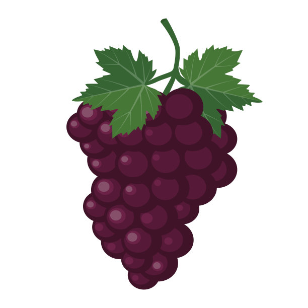 葡萄logo