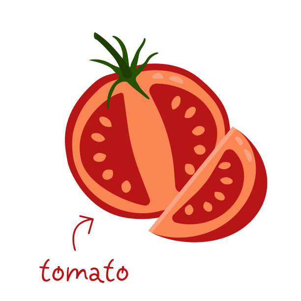 西红柿矢量图片